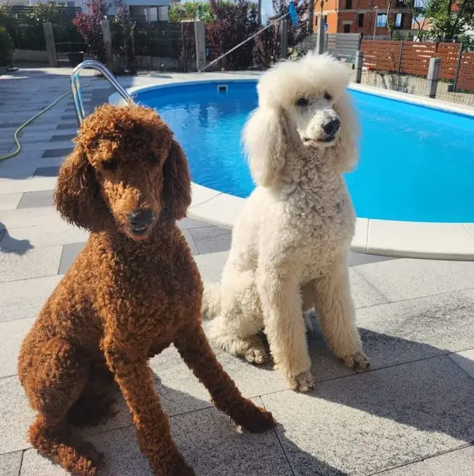 Nezaboravni trenutci